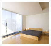 Rollerl Blinds