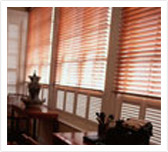 Vertical Blinds
