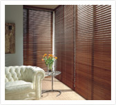 Vertical Blinds